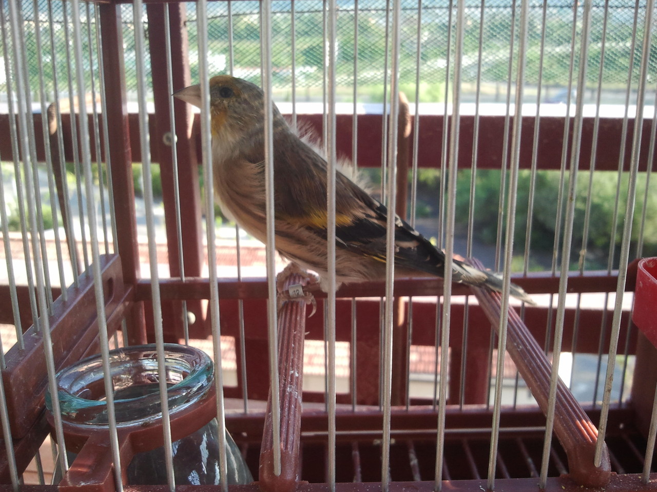 2012-10-23 17.39.52.jpg