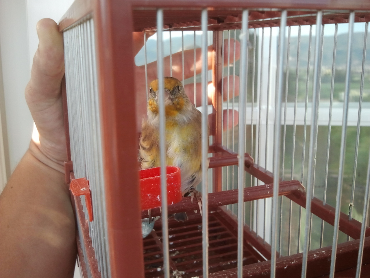 2012-10-23 17.41.38.jpg