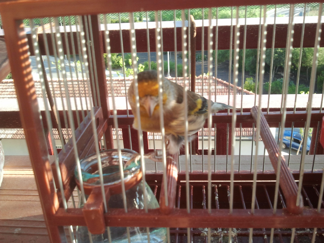 2012-10-23 17.42.23.jpg