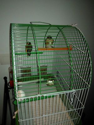 IMG-20121028-WA0001.jpg
