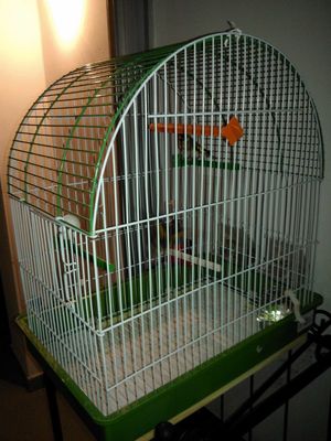 IMG-20121028-WA0002.jpg
