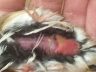 2012-10-29 18.49.18.jpg