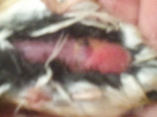 2012-10-29 18.49.12.jpg