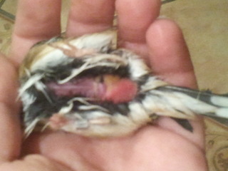 2012-10-29 18.48.38.jpg