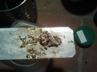 2012-10-29 18.50.32.jpg