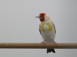 2849792800_1.jpg