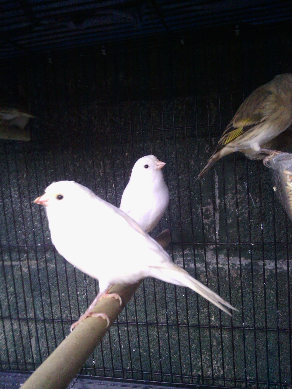 IMG_20121102_171715.jpg
