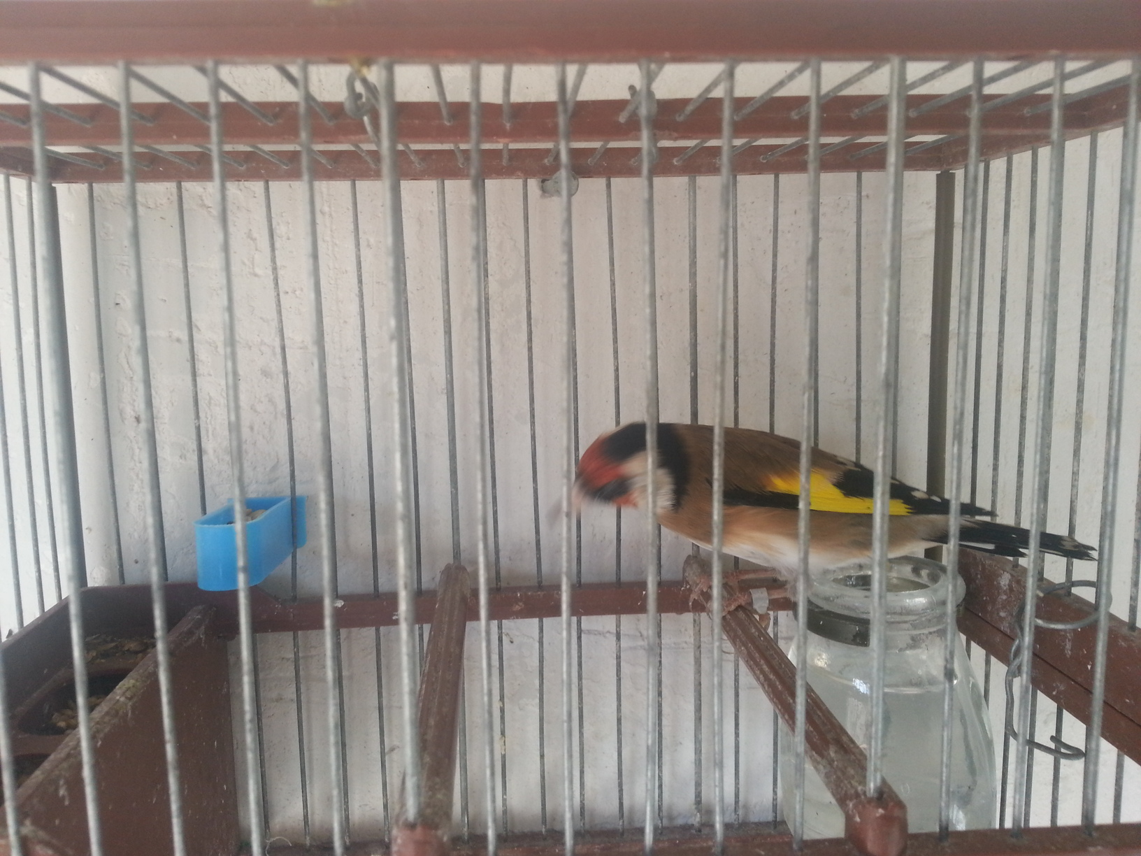 20121105_104534.jpg