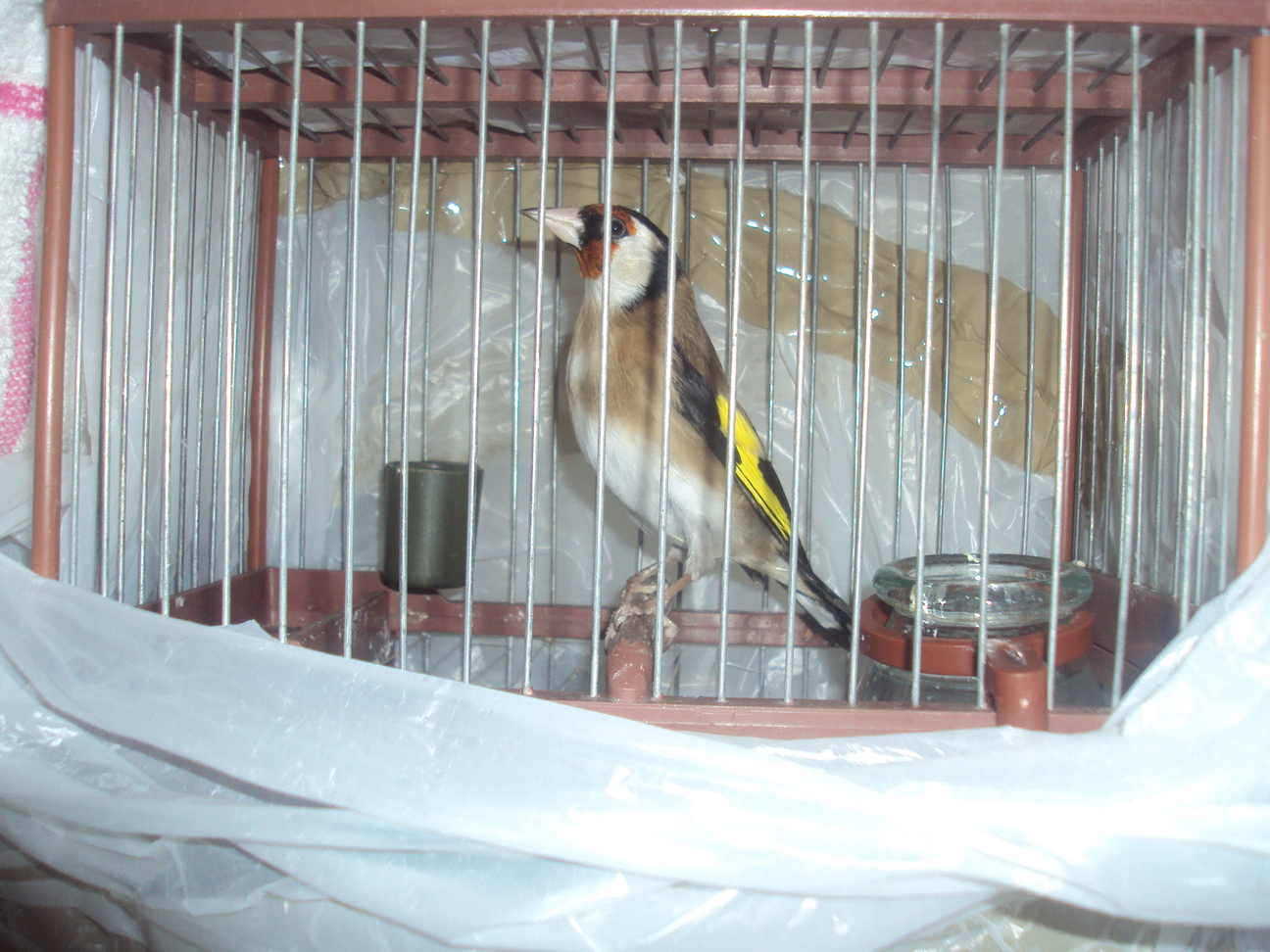 DSC02802.JPG