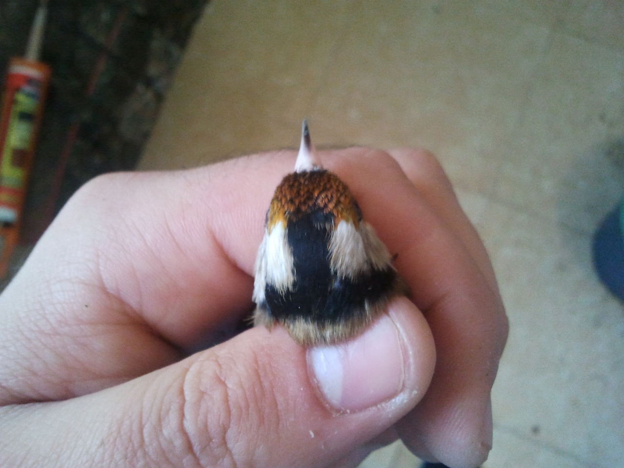 2012-11-07 13.44.01.jpg