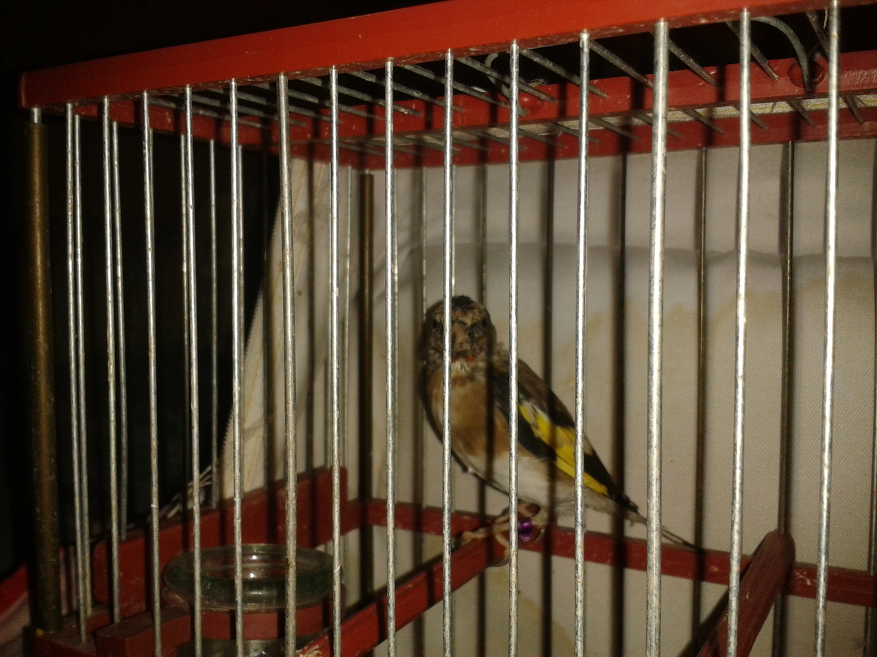 2012-11-11 20.42.16.jpg