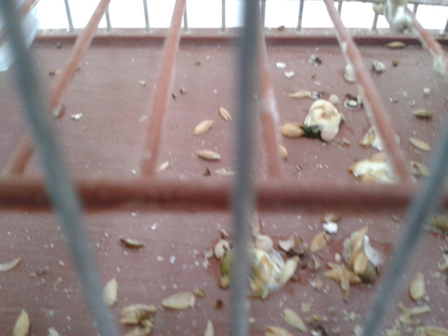 2012-11-18 10.56.41.jpg