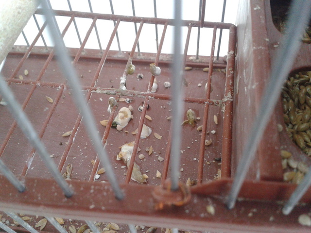 2012-11-18 10.57.43.jpg