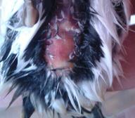 2012-11-18 11.04.09-1.jpg