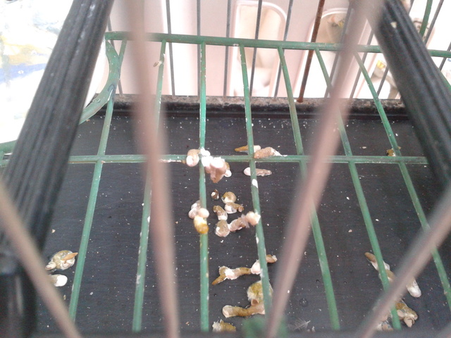 2012-11-18 11.08.56.jpg