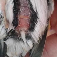 2012-11-18 11.13.32-1.jpg