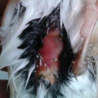 2012-11-23 16.02.18-1.jpg