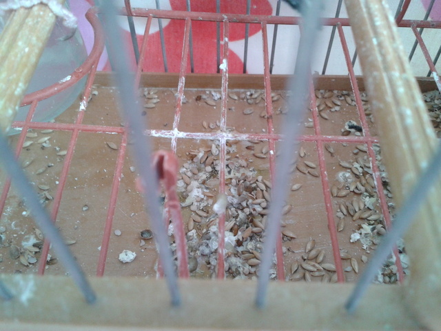 2012-11-23 15.59.02.jpg