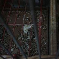 2012-11-23 20.14.29-1.jpg