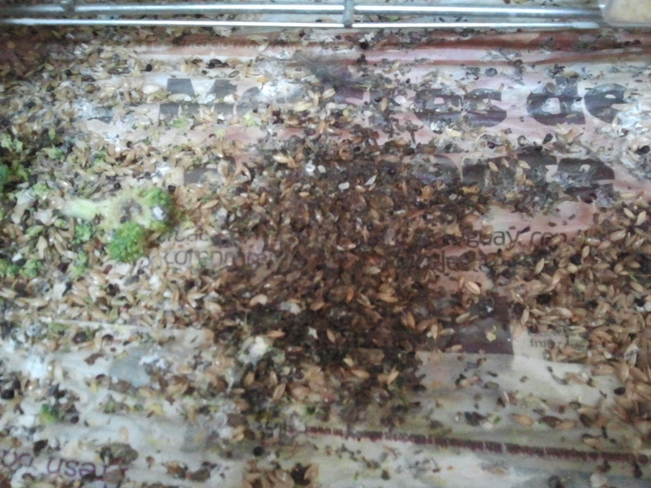 2012-11-24 14.35.10.jpg