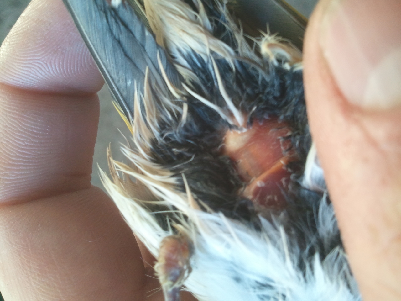 2012-11-18 16.58.24.jpg