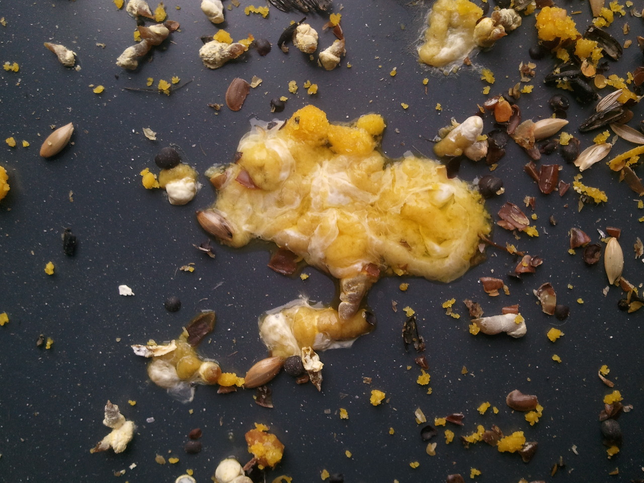 2012-11-23 15.15.03.jpg