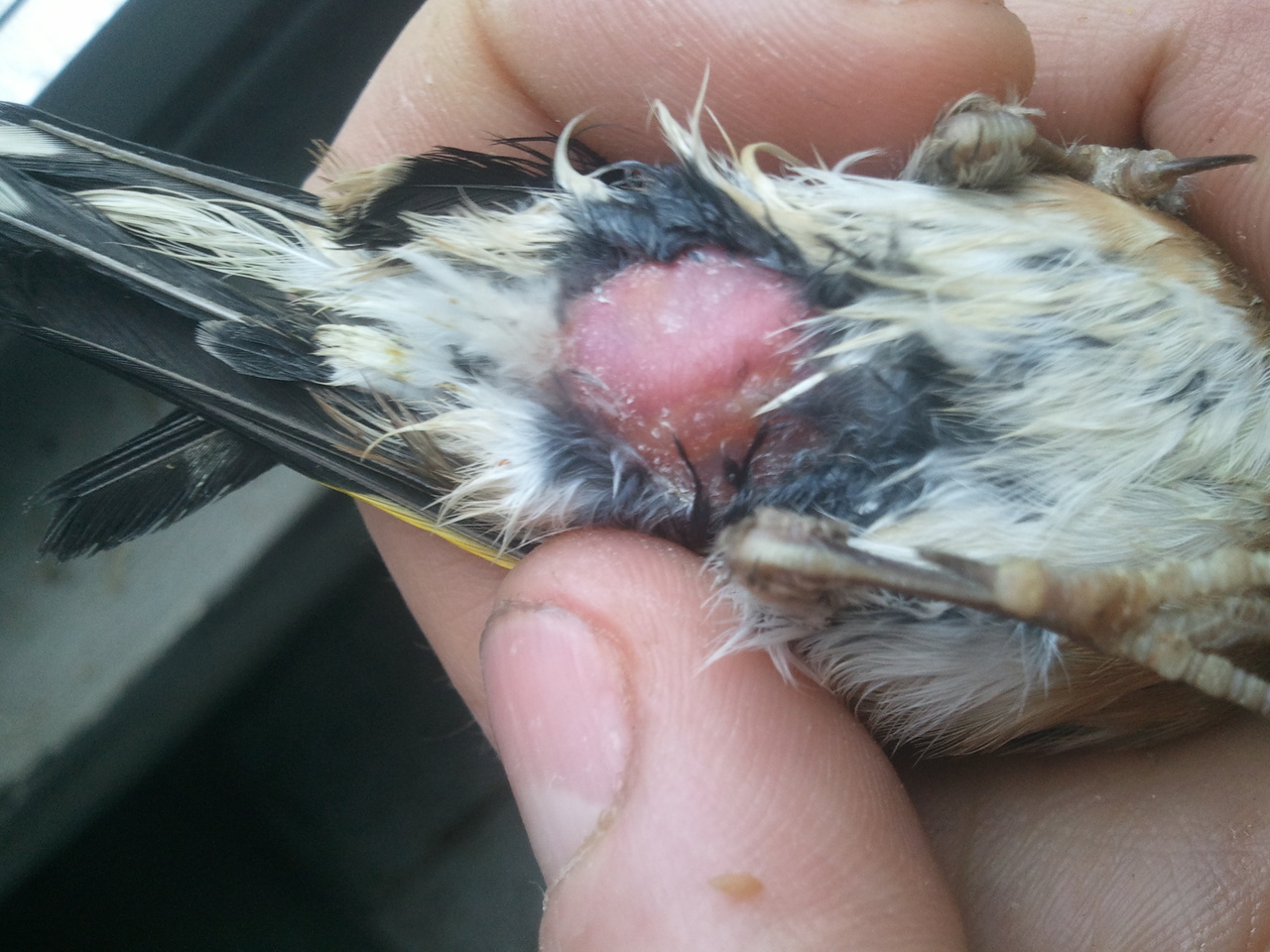 2012-11-26 11.04.09.jpg