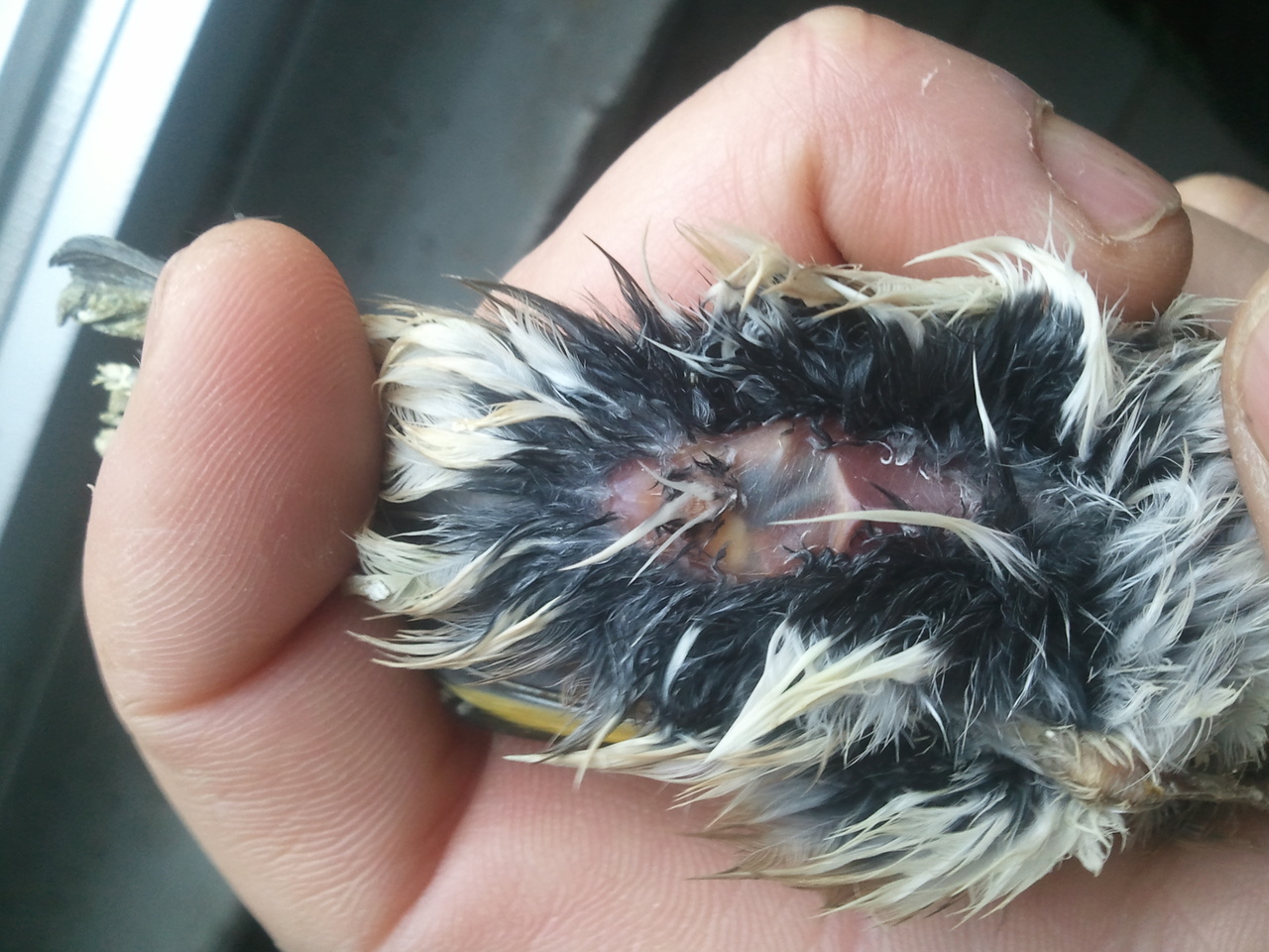 2012-11-27 11.22.32.jpg