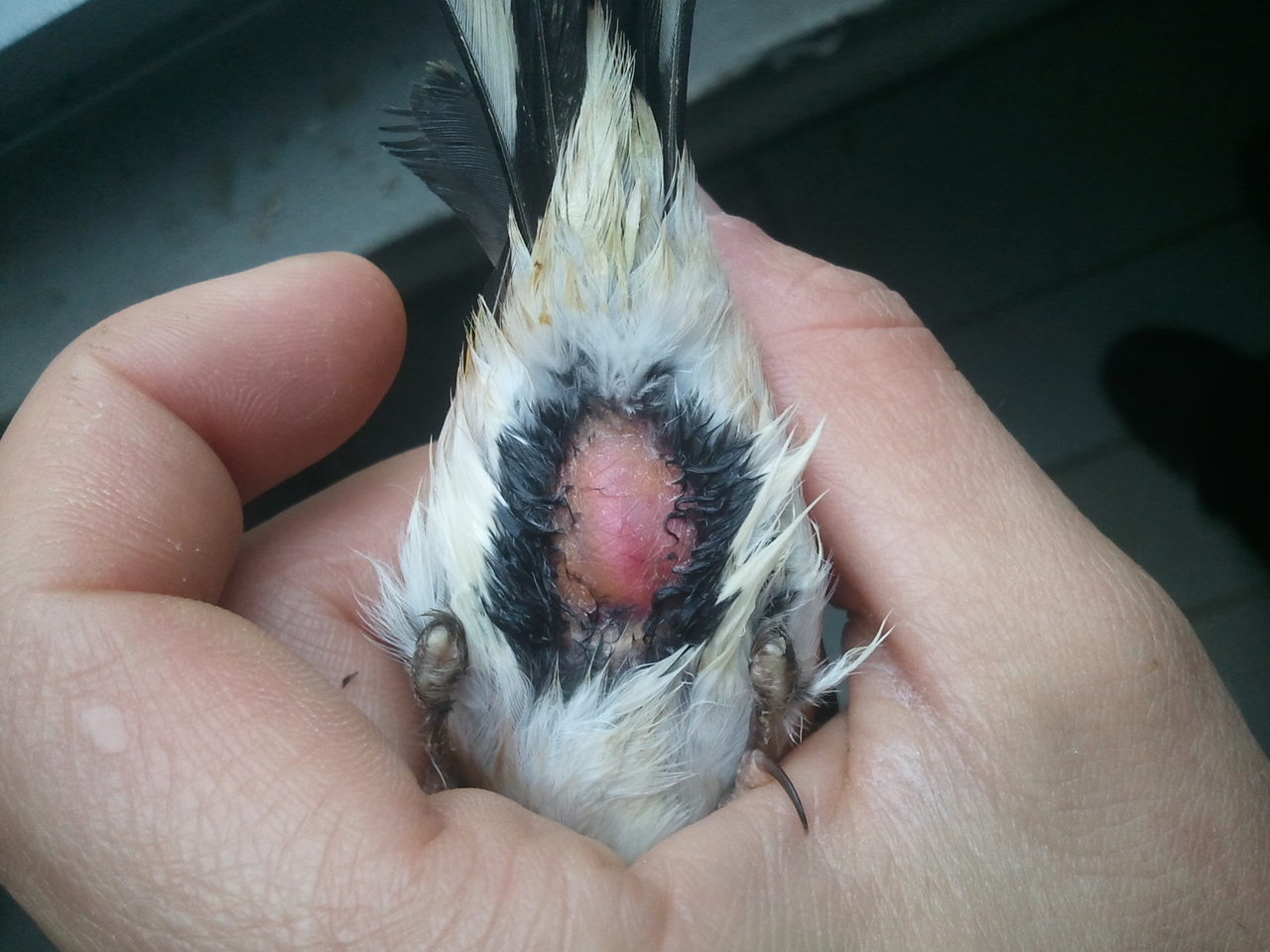 2012-11-28 10.40.29.jpg