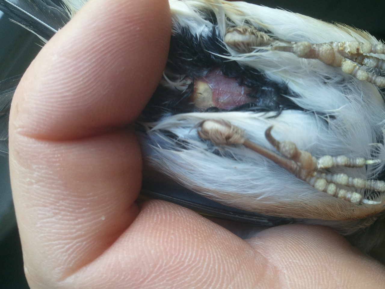 2012-11-28 11.04.57.jpg