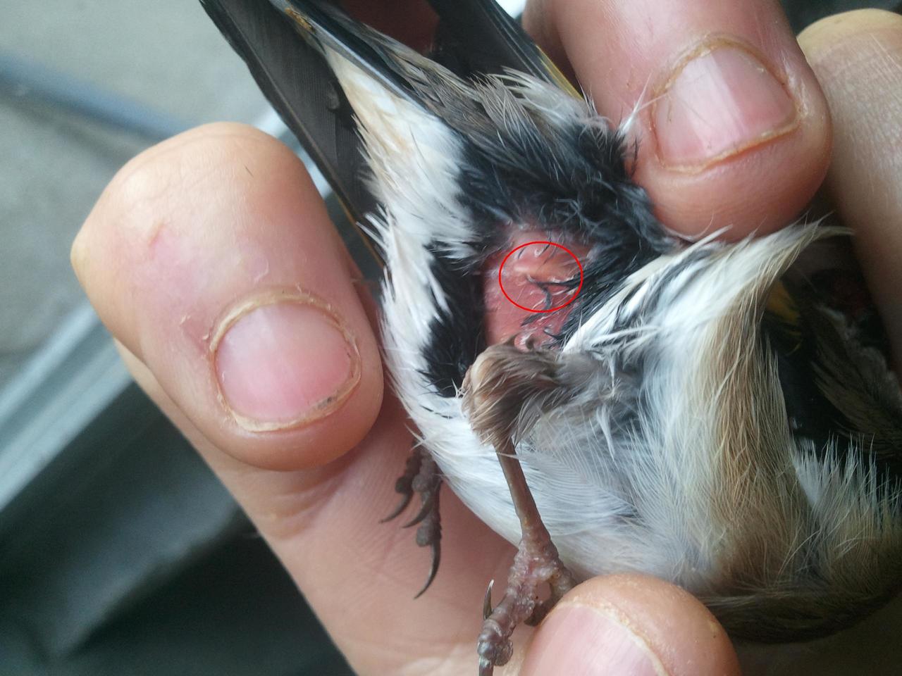 2012-11-28 16.12.51.jpg