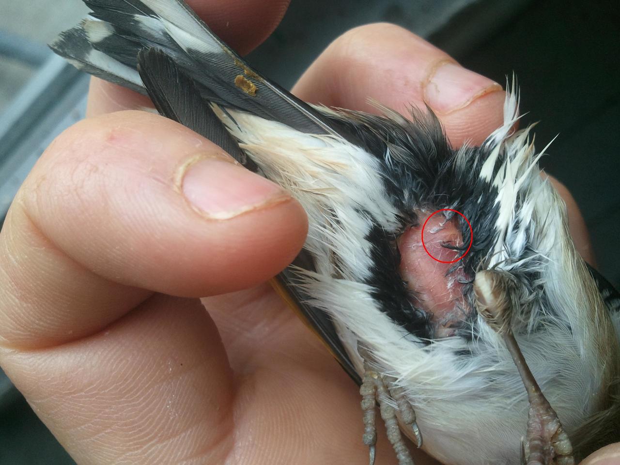 2012-11-28 16.13.17.jpg