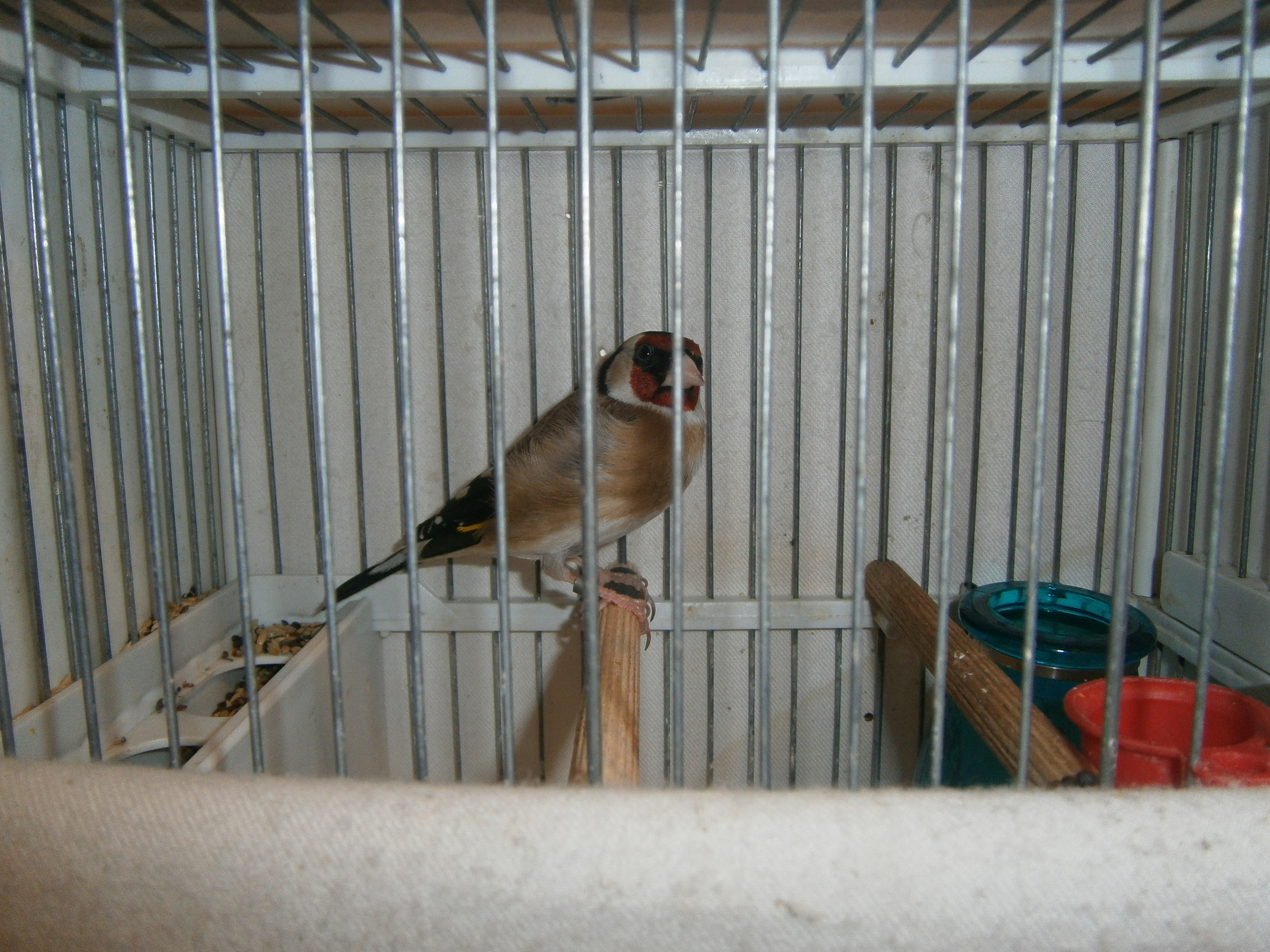 PB300027.JPG