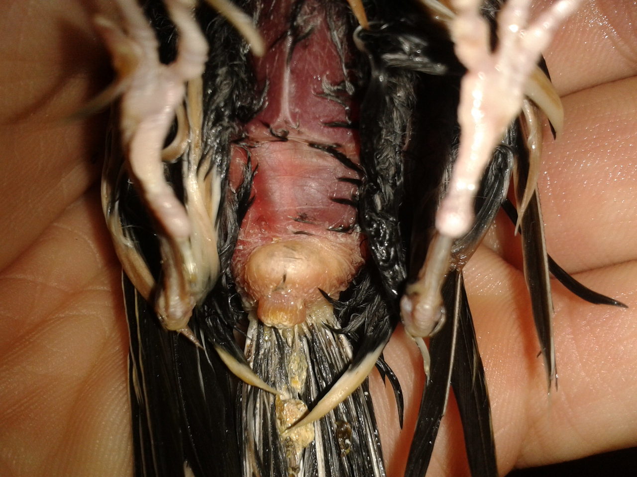 2012-12-03 22.04.17.jpg