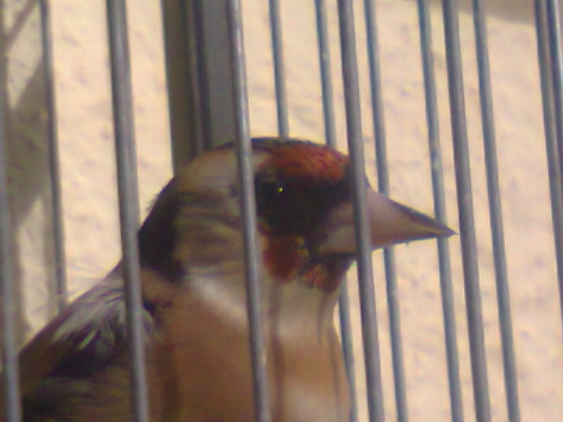 Foto0176.jpg