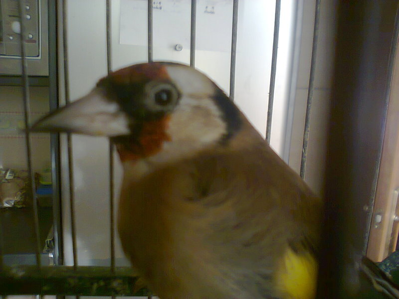 Foto0179.jpg