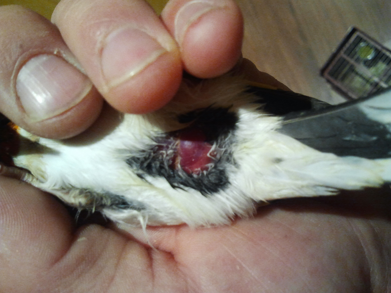 2012-11-30 11.29.52.jpg