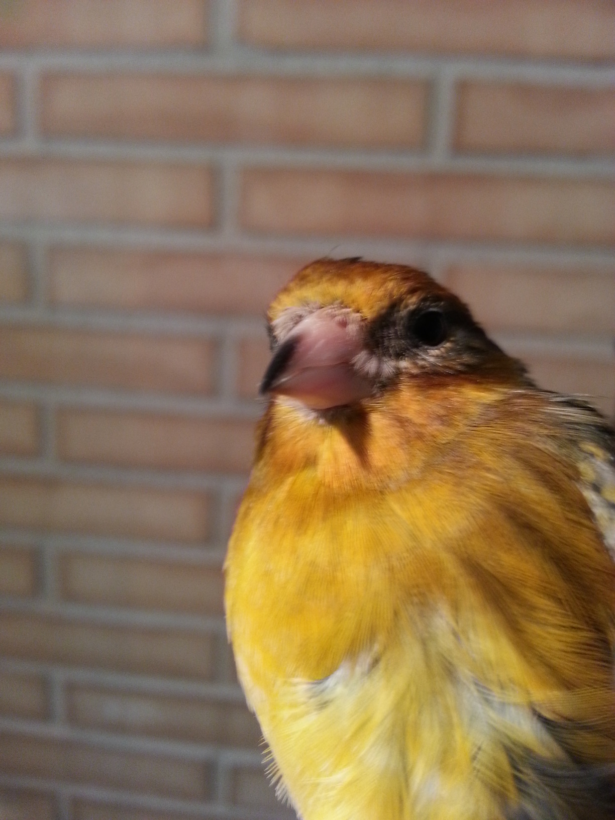 20121217_170241.jpg