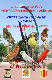foto feria.jpg