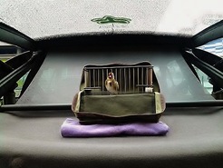 2012-12-16 14.35.11.jpg