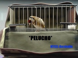 2012-12-16 14.35.19.jpg