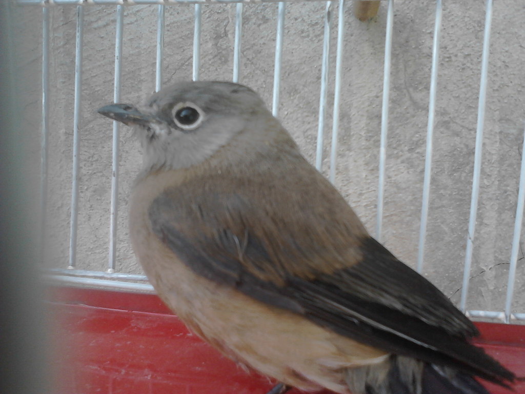 IMG10264.jpg