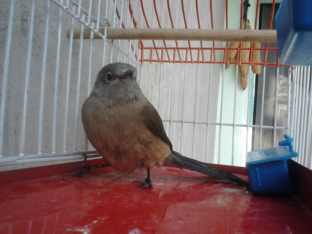 IMG10265.jpg