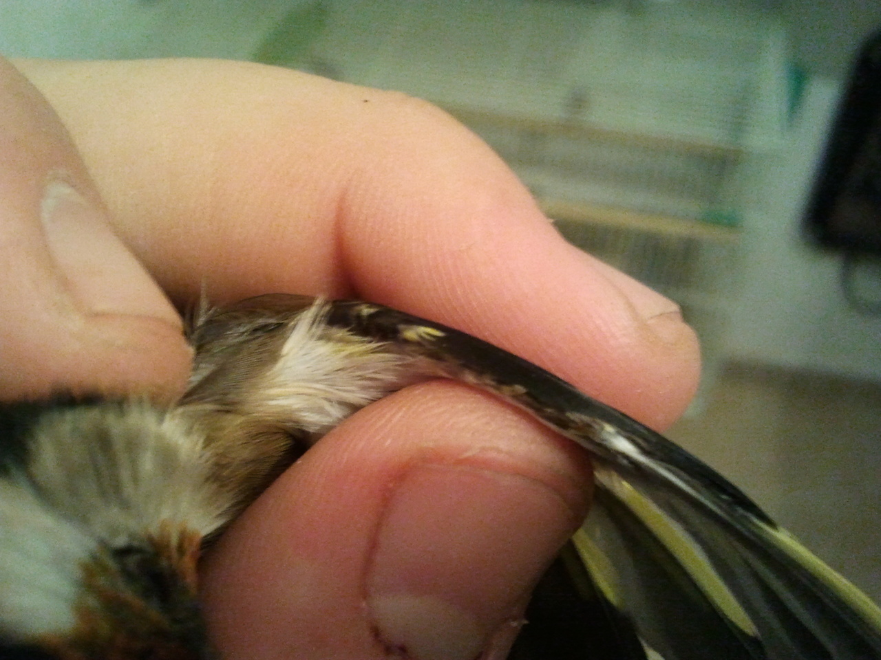 2012-12-21 22.08.20.jpg