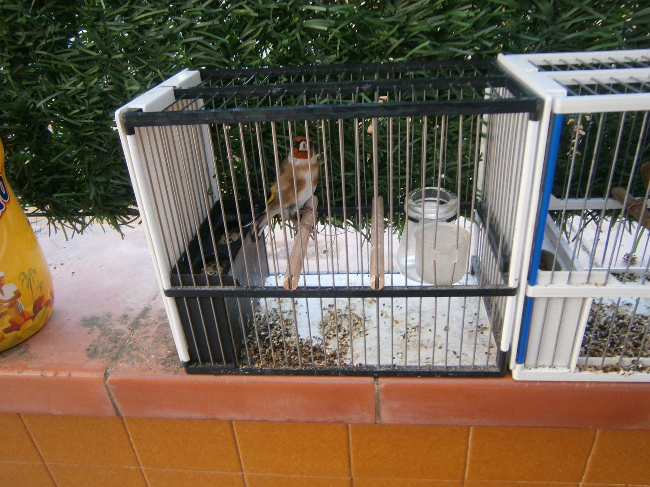 PC270037.JPG