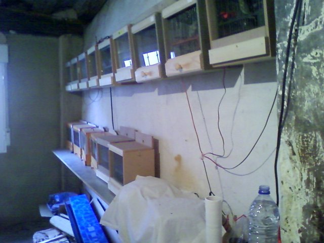 P01-09-09_16.42.jpg