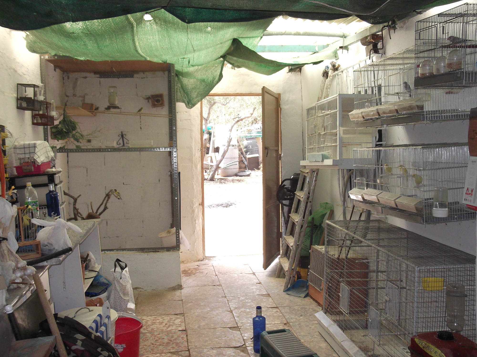 DSCF8340.JPG