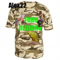 zoom_asset_73309579.jpg