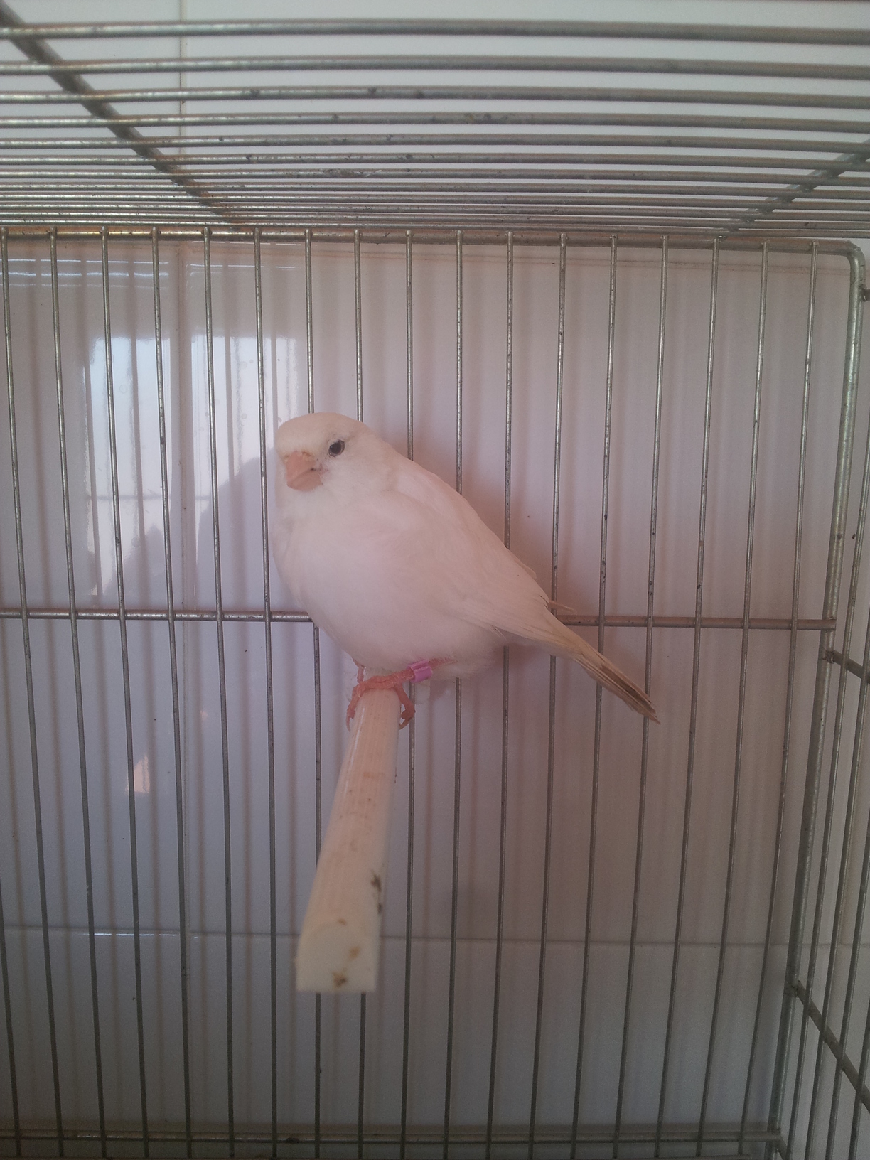 2013-01-02 15.13.16.jpg