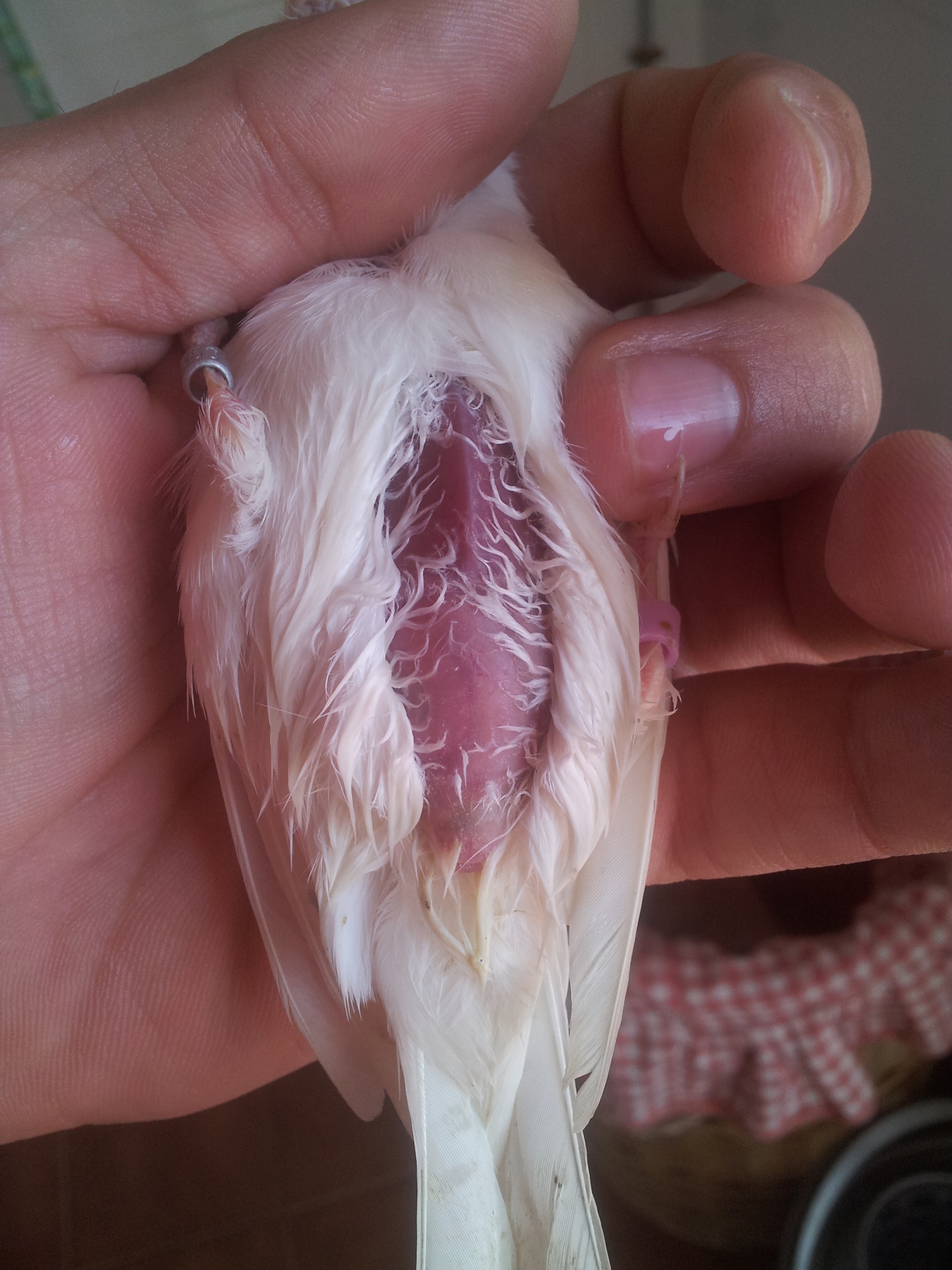 2013-01-02 15.16.17.jpg